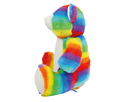 rainbow bear_Plan de travail 1 copie 2.webp