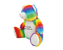 rainbow bear_Plan de travail 1 copie.webp